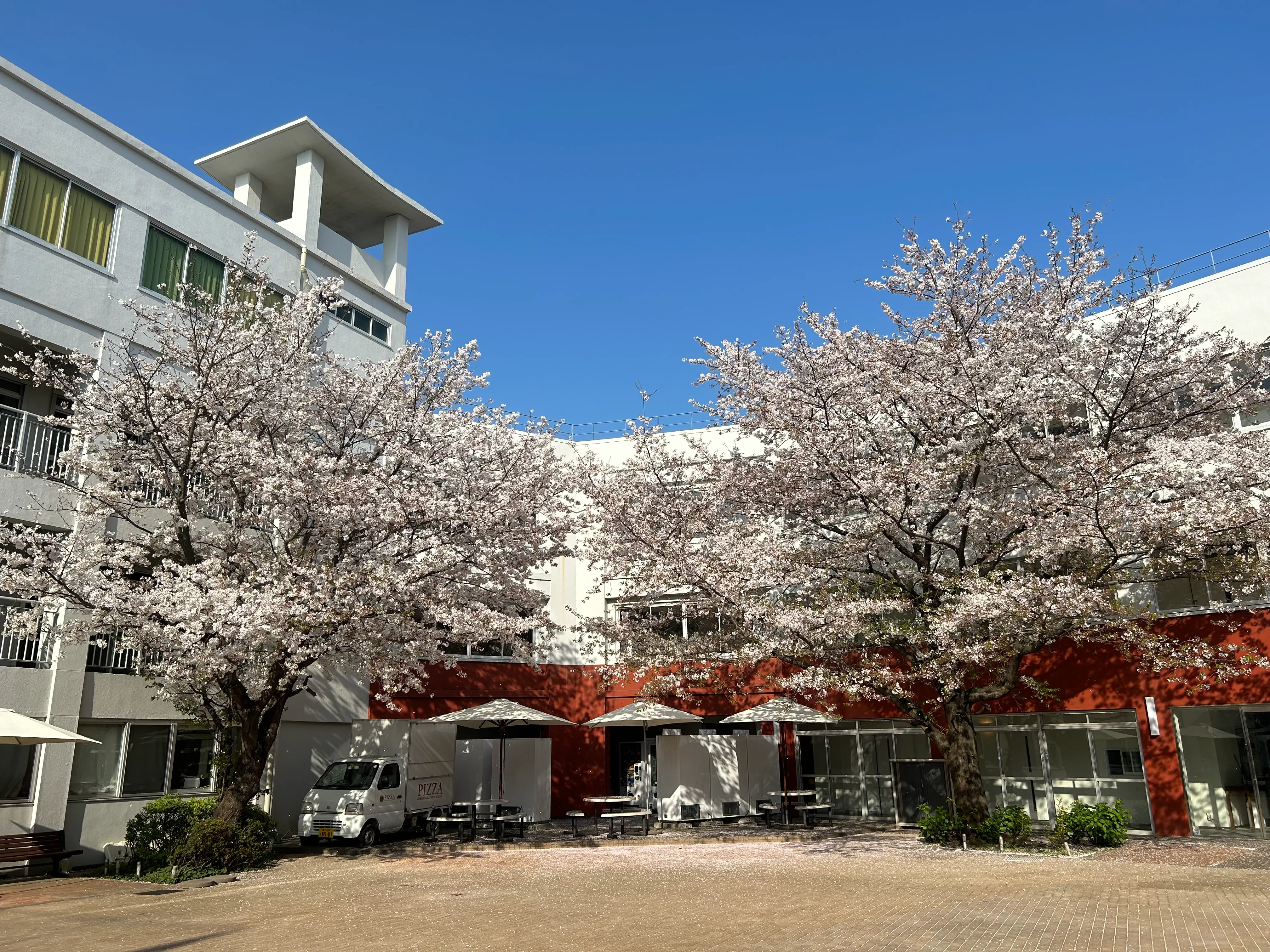 白鵬女子高等学校