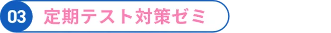 03 定期テスト対策ゼミ
